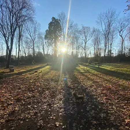 Villa La Grange De Saint-martin / Les Ecuries Du Chateau St-martin Mozac